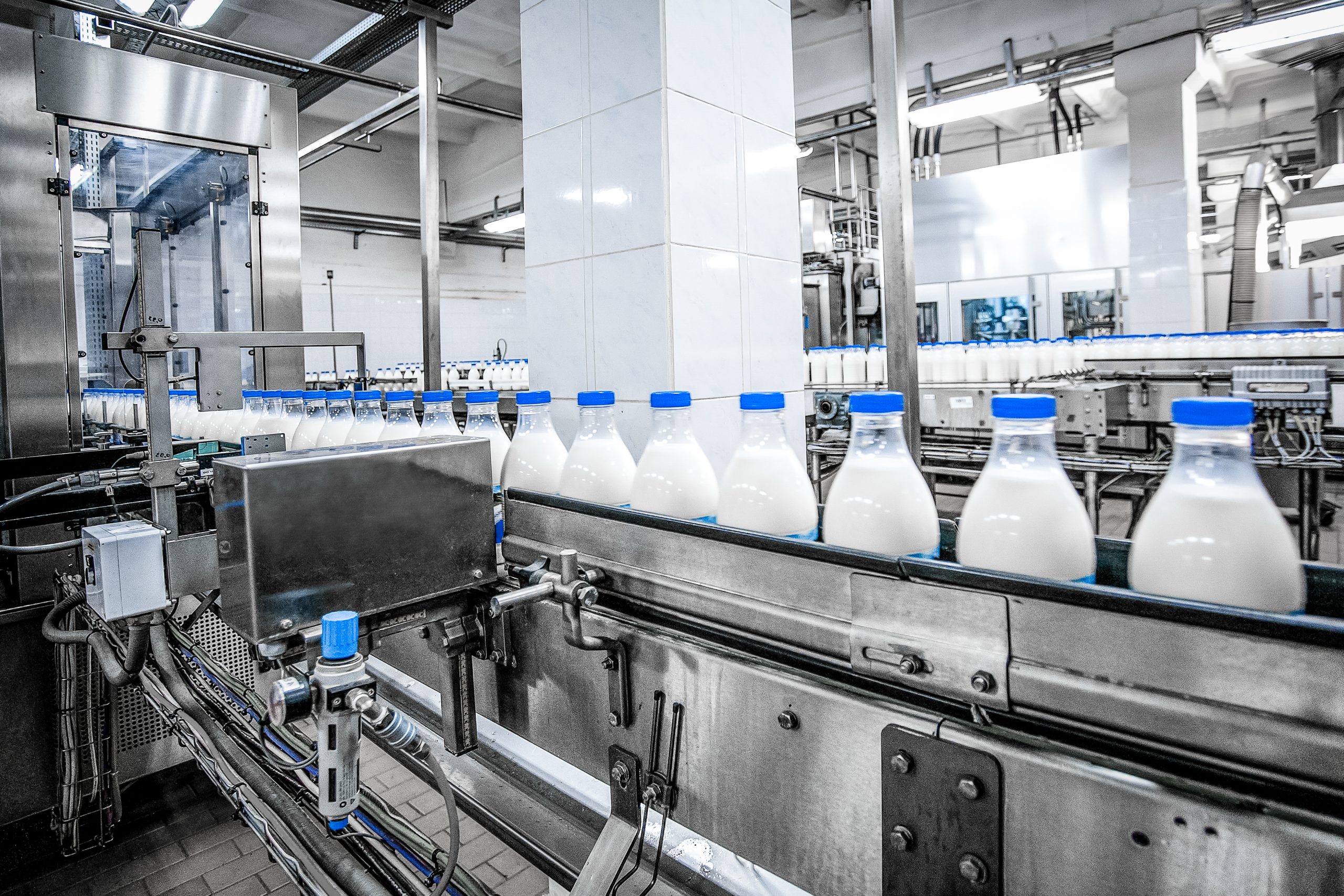 Milk,Production,At,Factory